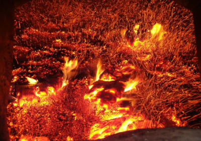 biomass-fire