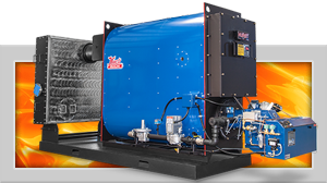 Hot Water Hybrid Condensing System